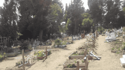Cementerio Municipal