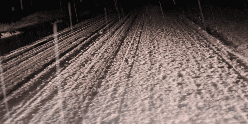 7 hs. Bajada del Agrio. Calzada con acumulación de nieve. Personal y equipos de Vialidad Nacional operando. Nevando